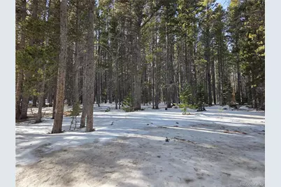 293 Beaver Road, Idaho Springs, CO 80452 - Photo 2