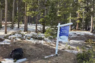 293 Beaver Rd, Idaho Springs, CO 80452 - Photo 1