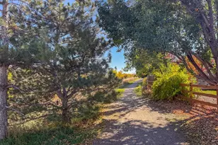 9796 Teller Ct, Broomfield, CO 80021 - Photo 2