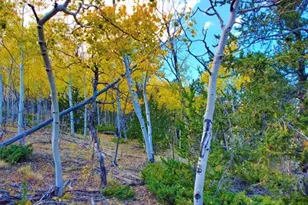 2000 Hard Hickory Trail, Guffey, CO 80820 - Photo 1