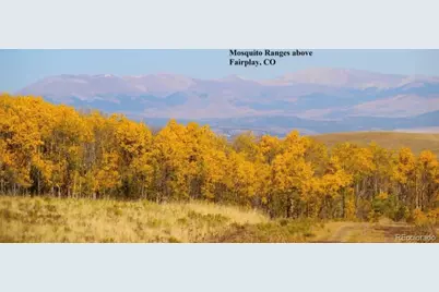 2000 Hard Hickory Trail, Guffey, CO 80820 - Photo 22