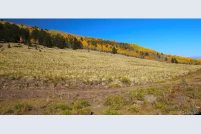 2000 Hard Hickory Trail, Guffey, CO 80820 - Photo 24