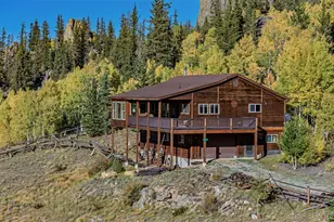 305 Travois Ct, Como, CO 80432 - Photo 38