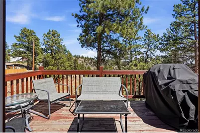 280 Bunny Road, Bailey, CO 80421 - Photo 28