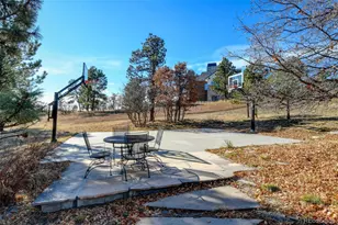 9346 Hidden Pines Ct, Parker, CO 80134 - Photo 50