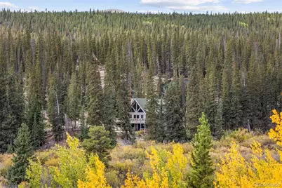 925 Gold Pan Lane, Fairplay, CO 80440 - Photo 4