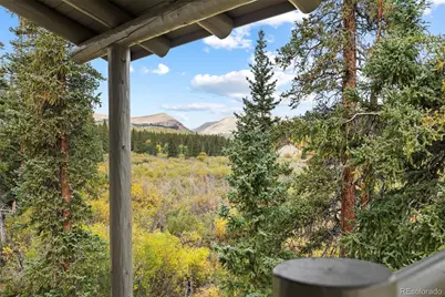 925 Gold Pan Lane, Fairplay, CO 80440 - Photo 42