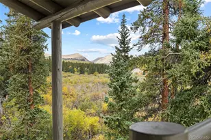 925 Gold Pan Ln, Fairplay, CO 80440 - Photo 42