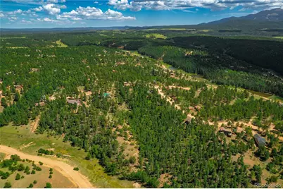 431 Cottonwood Lake Drive, Divide, CO 80814 - Photo 36