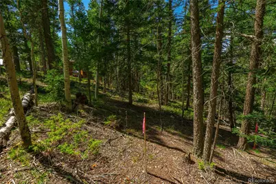 431 Cottonwood Lake Drive, Divide, CO 80814 - Photo 26
