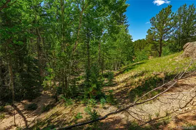 431 Cottonwood Lake Drive, Divide, CO 80814 - Photo 24