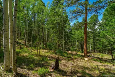 431 Cottonwood Lake Drive, Divide, CO 80814 - Photo 14