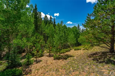 431 Cottonwood Lake Drive, Divide, CO 80814 - Photo 8