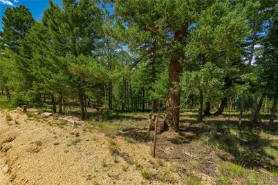 431 Cottonwood Lake Drive, Divide, CO 80814 - Photo 12