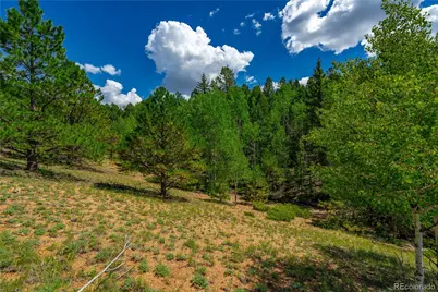 431 Cottonwood Lake Drive, Divide, CO 80814 - Photo 22