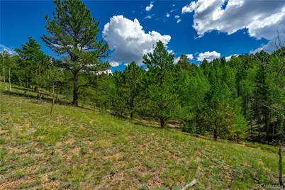 431 Cottonwood Lake Drive, Divide, CO 80814 - Photo 18