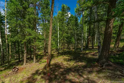 431 Cottonwood Lake Drive, Divide, CO 80814 - Photo 30