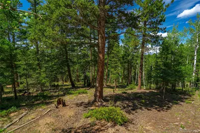 431 Cottonwood Lake Drive, Divide, CO 80814 - Photo 10