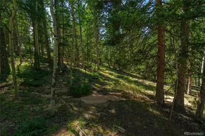 431 Cottonwood Lake Drive, Divide, CO 80814 - Photo 16