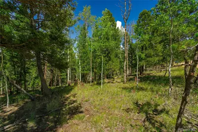 431 Cottonwood Lake Drive, Divide, CO 80814 - Photo 28