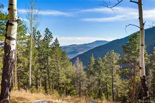 80 Spruce Ct, Evergreen, CO 80439 - Photo 50