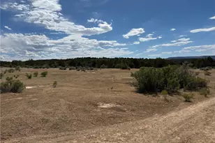 4530 Horse Canyon Rd, De Beque, CO 81630 - Photo 12