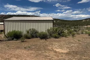 4530 Horse Canyon Rd, De Beque, CO 81630 - Photo 4