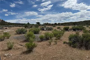 4530 Horse Canyon Rd, De Beque, CO 81630 - Photo 8