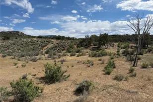 4530 Horse Canyon Rd, De Beque, CO 81630 - Photo 18