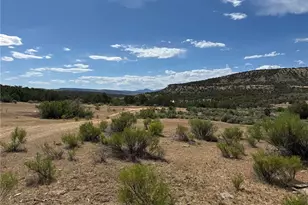 4530 Horse Canyon Rd, De Beque, CO 81630 - Photo 10