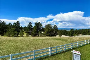 11455 Random Valley Cir, Parker, CO 80134 - Photo 1