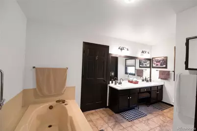 496 Quartzville Road, Alma, CO 80420 - Photo 8
