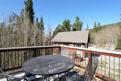 496 Quartzville Road, Alma, CO 80420 - Photo 24