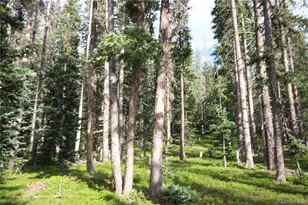 Lot 6524 Forbes Rd, San Luis, CO 81152 - Photo 1