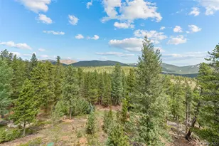 1363 Royal Ridge Dr, Bailey, CO 80421 - Photo 46