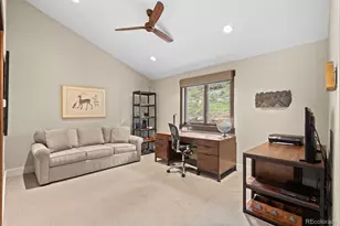 1733 Swede Gulch Rd, Evergreen, CO 80439 - Photo 32