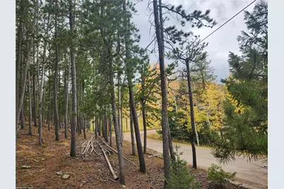 7041 Brook Forest Drive, Evergreen, CO 80439 - Photo 6