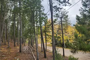 7041 Brook Forest Dr, Evergreen, CO 80439 - Photo 6