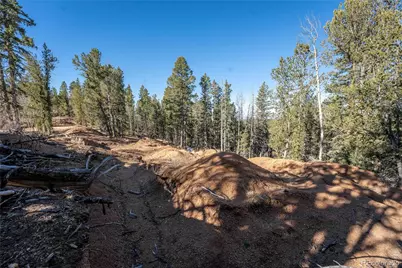 565 Fairview Drive, Woodland Park, CO 80863 - Photo 8