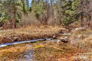 20728 Hwy 96, Wetmore, CO 81253 - Photo 44
