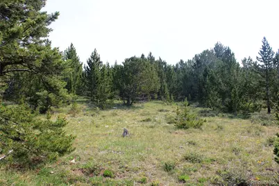 13620 Independence, Idaho Springs, CO 80461 - Photo 10