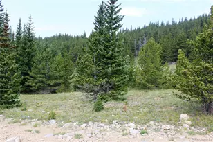 13620 Independence, Idaho Springs, CO 80461 - Photo 1