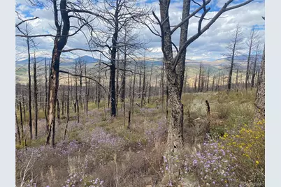 338 Hagin Lane, Fort Garland, CO 81133 - Photo 1