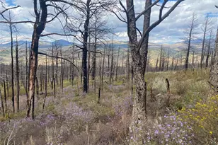 338 Hagin Ln, Fort Garland, CO 81133 - Photo 1