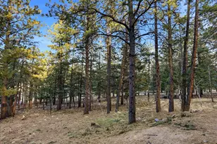 201 Moss Rock Rd, Bailey, CO 80421 - Photo 36