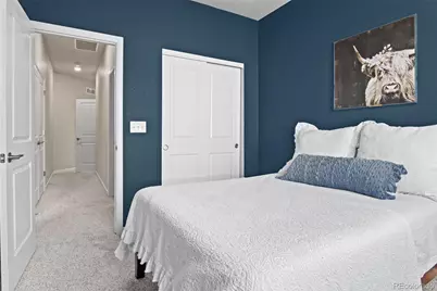 409 Millwall Circle, Castle Rock, CO 80108 - Photo 20