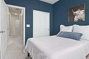 409 Millwall Cir, Castle Rock, CO 80108 - Photo 20