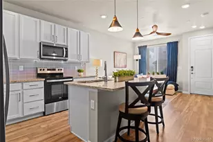 409 Millwall Cir, Castle Rock, CO 80108 - Photo 10