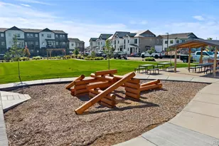 409 Millwall Cir, Castle Rock, CO 80108 - Photo 30