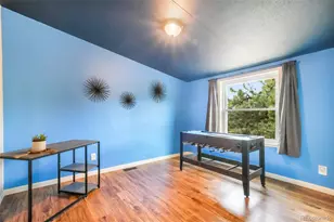696 Calle De La Nieva, Florissant, CO 80816 - Photo 30